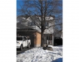 Real Estate Listing  32B Woodford Ottawa